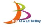 BTP CFA LE BELLOY