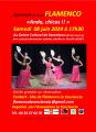 Spectacle de danse Flamenco 
