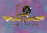 DREAMS COME TRUE (DCT)