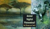 Exposition Animal Végétal Phénoménal ! Regards croisés d'artistes sur le monde vivant