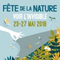 Fête de la Nature 2018 à Gentilly : la richesse cachée d'un espace naturel en ville