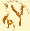 Ouverture du site Capoeira Ginga Nago Laval