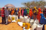 ASSOCIATION D'AIDE AUX ORPHELINS SOMALIENS