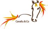 CAVALLU & CO