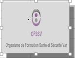 ORGANISME DE FORMATION SANTE ET SECURITE VAR( OFSSV)
