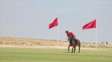 Tournoi de polo 28 et 29 Mai 2016