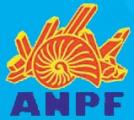 ASSOCIATION NANTAISE PIERRES ET FOSSILES (ANPF)