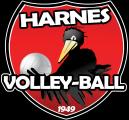 HARNES VOLLEY-BALL