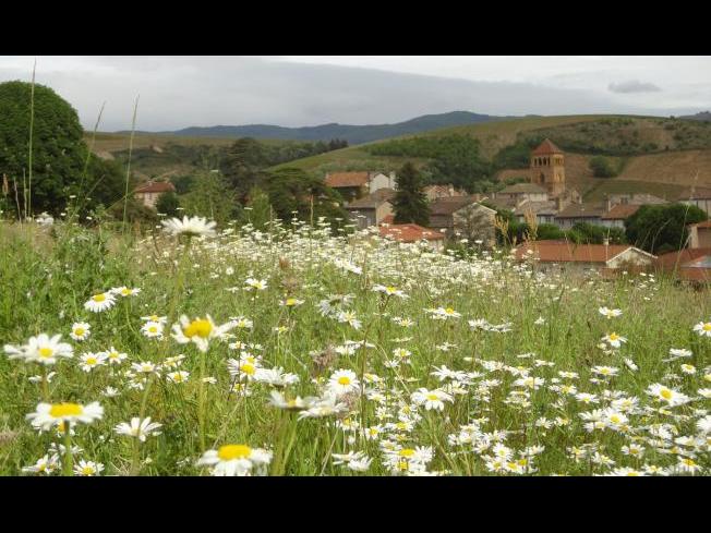 Randonnée des Caudalies