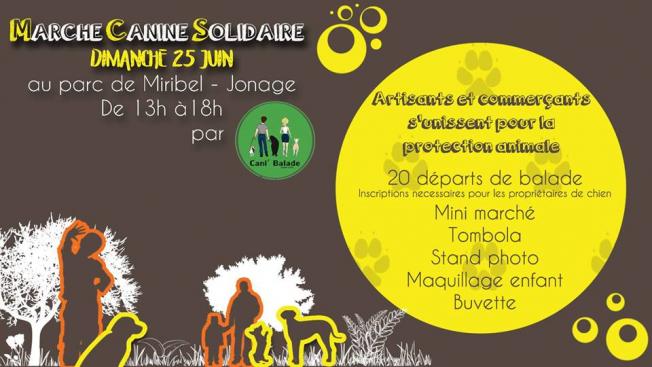 MARCHE CANINE SOLIDAIRE 
