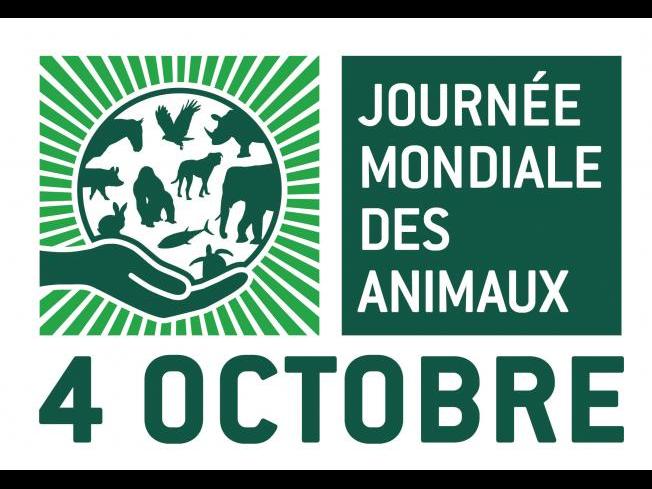 Journée Mondiale pour les animaux fête de St François d’Assise Patron des animaux